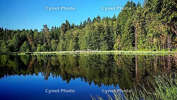 Peaceful lake with reflecting water and surrounding trees, hiking in spring, Waldnaab Valley Nature Reserve, Upper Palatinate [IBR124899539]