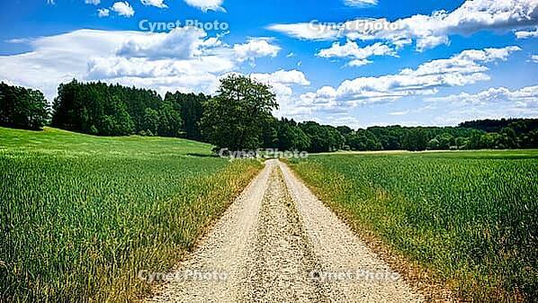 Rural economic trail between fields under a blue sky with clouds, hiking in spring, Waldnaabtal nature reserve, Upper Palatinate [IBR124899543]