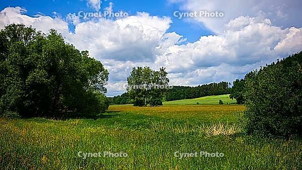 Lush green meadow with trees under a blue sky with white clouds in the background, hiking in spring, Waldnaabtal Nature Reserve, Upper Palatinate [IBR124899544]