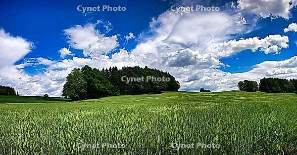 Wide green fields next to a forest under a clear blue sky with white clouds, hiking in spring, Waldnaab Valley Nature Reserve, Upper Palatinate [IBR124899562]