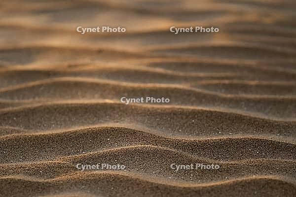 Wind drifts form small waves in sand, abstract pattern, Sortebærdalen Strand, Houvig, North Sea, Denmark [IBR124899874]