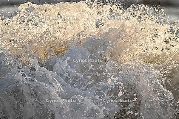 Surf, breaking wave against light, Sortebærdalen Strand, Houvig, North Sea, Denmark [IBR124899876]