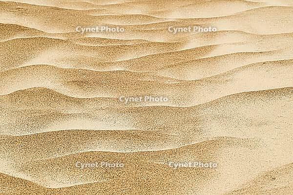 Wind drifts form small waves in sand, abstract pattern, Sortebærdalen Strand, Houvig, North Sea, Denmark [IBR124899878]