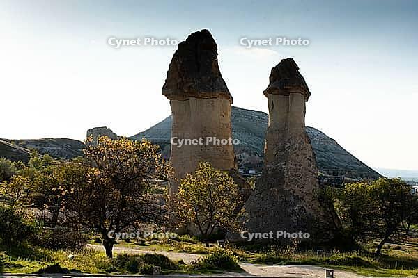 Unique mushroom-shaped fairy chimneys and ancient cave dwellings in Pasabag Monks Valley, Cappadocia, Turkey [IBR124899885]