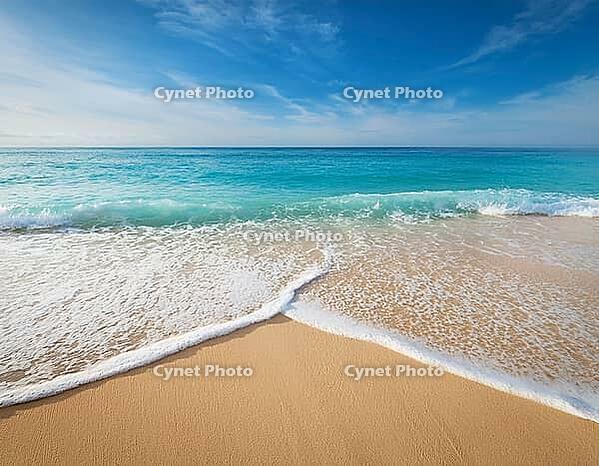 Beautiful sandy beach with sky. Travel summer holiday background concept, AI generated [IBR124899896]