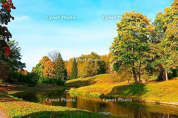 Beautiful autumn park at evening before sunset [IBR124906379]