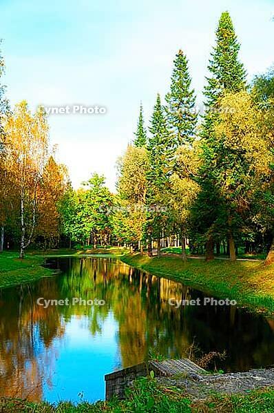 Beautiful autumn park at evening before sunset [IBR124906380]