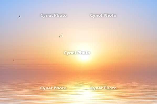 Ocean sunrise and birds [IBR124906398]
