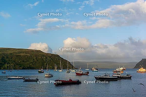 View of a bay with boats, near Portree in summer 2018 [IBR124915232]