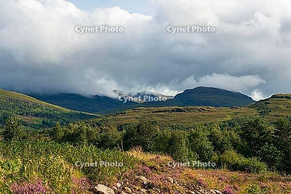 View of the Scottish Highlands, green meadows and cloudy skies in summer 2018 [IBR124915247]