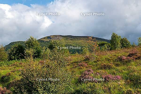 View of the Scottish Highlands, green meadows and cloudy skies in summer 2018 [IBR124915249]