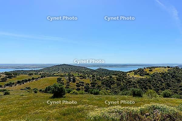Green landscape with lakes in the background, near Monsaraz in spring 2019 [IBR124915256]