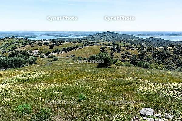 Green landscape with lakes in the background, near Monsaraz in spring 2019 [IBR124915258]