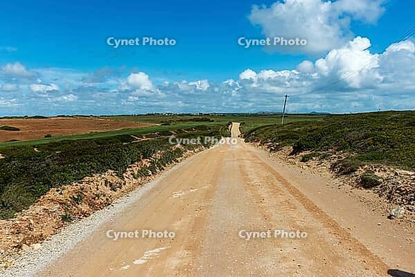 View of a gravel path leading through nature to the coast, under a slightly cloudy sky, near Setubal in spring 2019 [IBR124915271]