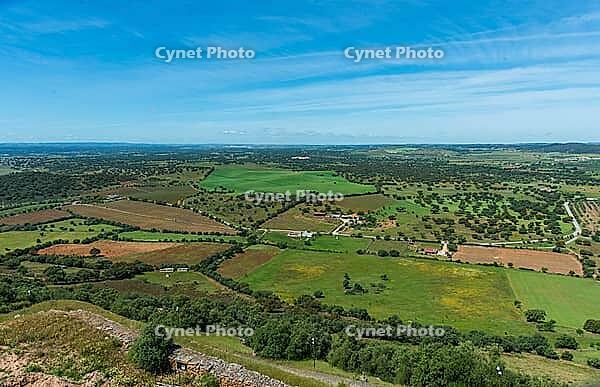 Green landscape with lakes in the background, near Monsaraz in spring 2019 [IBR124915286]