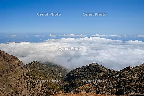 View into a mountain gorge on La Palma with a view over the clouds near Tinizara in summer 2007 [IBR124915300]