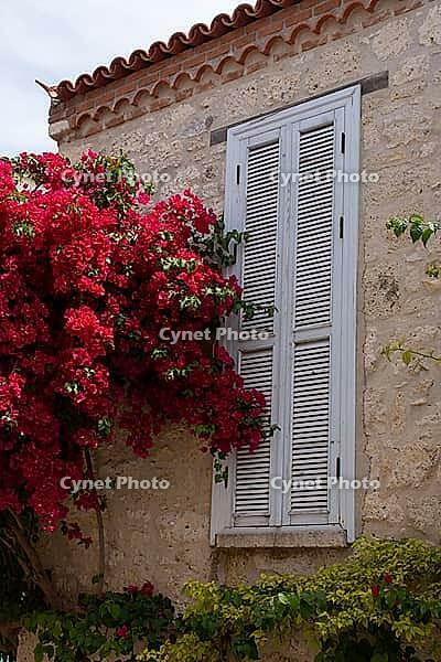 A vibrant rustic windows Mediterranean charm through vivid shutters and textured stone facades [IBR124920166]