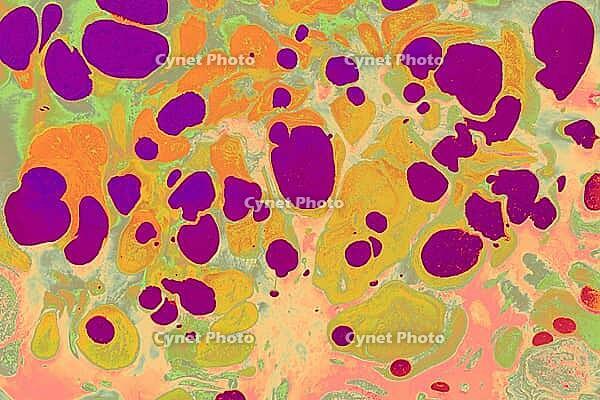 Vibrant abstract ebru ink art with flowing colors and organic motion, suitable for modern backgrounds and visual designs [IBR124920181]