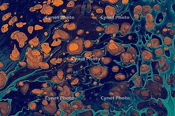 Elegant fluid ebru marbling with organic ink flows and soft color transitions for abstract backgrounds and creative projects [IBR124920184]