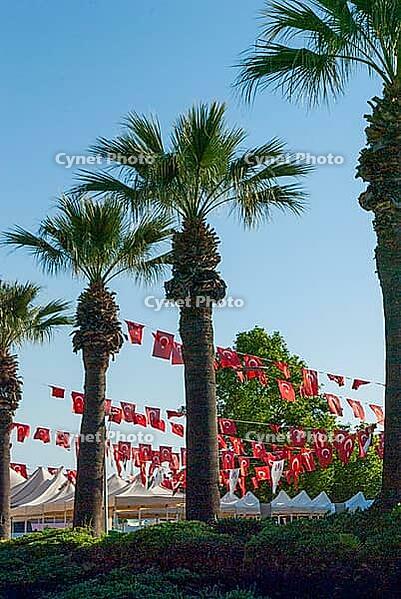 Turkish flags displayed outdoors, highlighting red fabric, crescent moon, star, and national identity [IBR124920191]