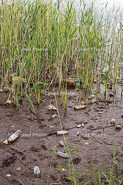 Significant environmental pollution showing plastic waste and garbage scattered along a muddy lake shore edge [IBR124920197]