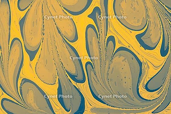 Dark floral Ebru marbling background featuring contrasting liquid ink swirls and elegant gold artistic accents [IBR124920205]