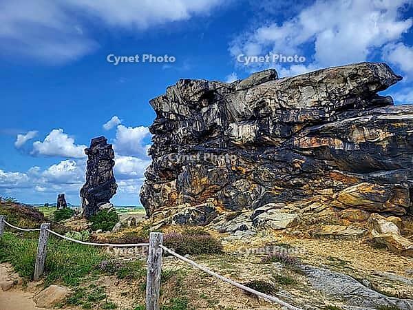 Spectacular view of the historic Devil's Wall in an idyllic heath landscape. The mighty sandstone rock formation fascinates with its rugged structures, earthy tones and a distinctive, free-standing rock needle in the background. A wooden rope fence lines  [IBR124920214]