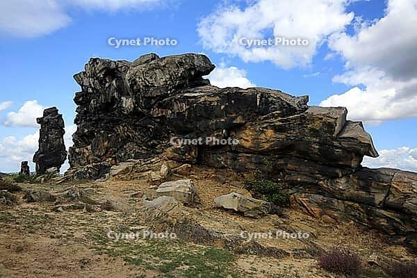 Spectacular view of the historic Devil's Wall in an idyllic heath landscape. The mighty sandstone rock formation fascinates with its rugged structures, earthy tones and a distinctive, free-standing rock needle in the background. A wooden rope fence lines  [IBR124920220]