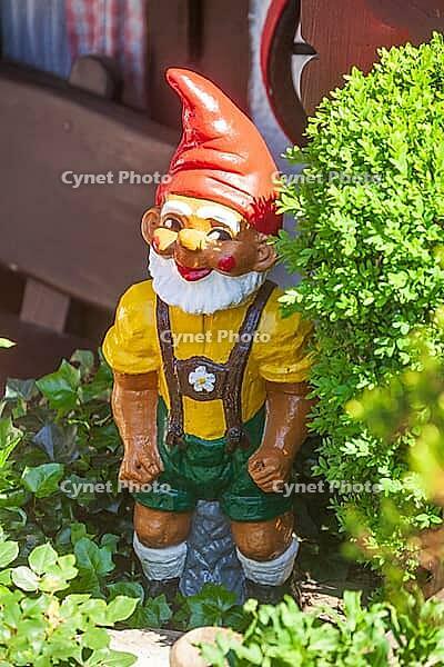 Colorful garden gnome in a garden, Gmund am Tegernsee, Gmund, Upper Bavaria, Bavaria, Germany [IBR124920228]