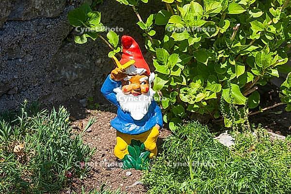 Colorful garden gnome in a garden, Gmund am Tegernsee, Gmund, Upper Bavaria, Bavaria, Germany [IBR124920232]