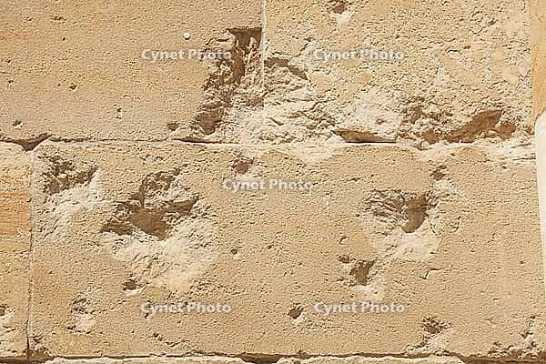 Bullet holes from the Second World War on a wall, Munich, Upper Bavaria, Bavaria, Germany [IBR124920234]