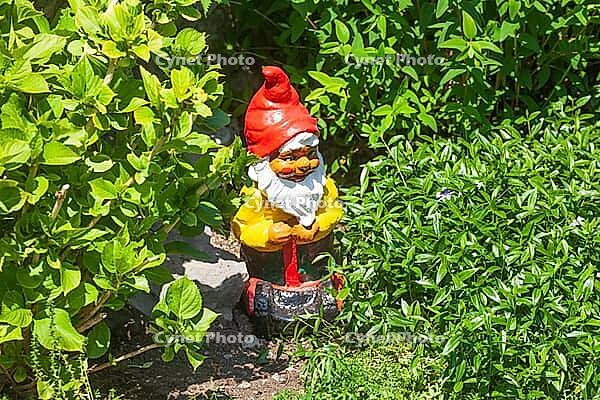 Colorful garden gnome in a garden, Gmund am Tegernsee, Gmund, Upper Bavaria, Bavaria, Germany [IBR124920239]