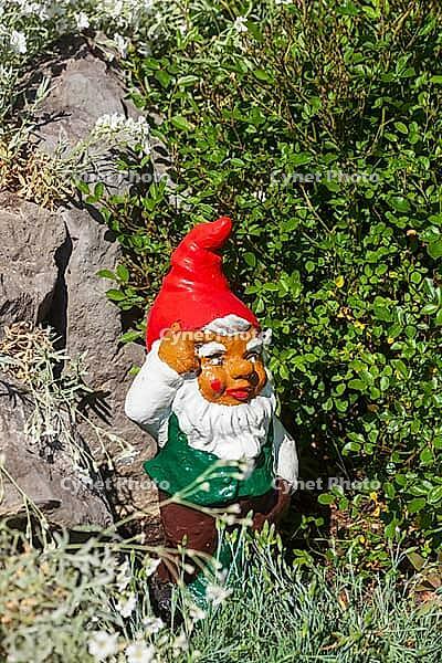 Colorful garden gnome in a garden, Gmund am Tegernsee, Gmund, Upper Bavaria, Bavaria, Germany [IBR124920240]