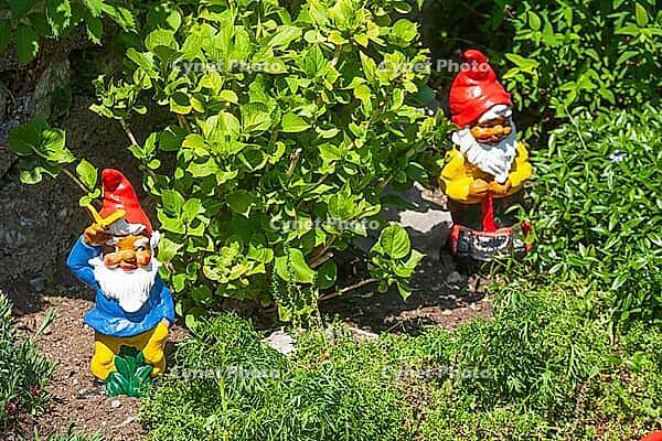 Colourful garden gnomes in a garden, Gmund am Tegernsee, Gmund, Upper Bavaria, Bavaria, Germany [IBR124920244]