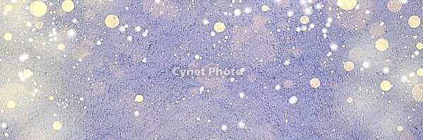 Christmas card or new year snowy glittering background [IBR124944092]