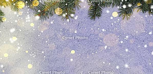 Christmas card or new year snowy glittering background with fir-tree branches [IBR124944097]