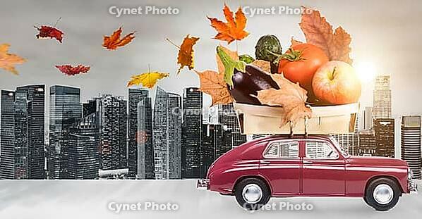 Food delivery. Autumn red toy car with fallen leaves delivering fruits and vegetables against business district buildings [IBR124944111]