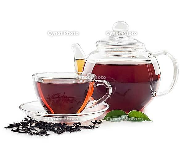 Tea in cup isolated on white background [IBR124991087]