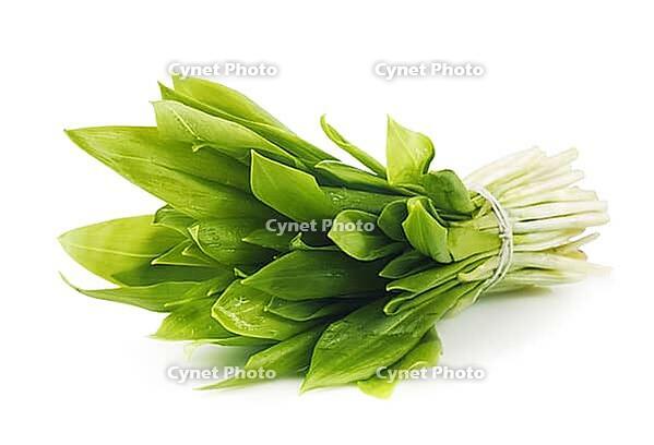 Ramson bunch vegetable isolated on white background [IBR124991102]