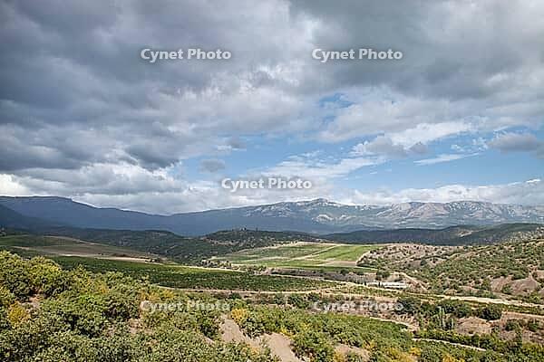 Landscape. Beautiful Crimean mountains and vineyards for your design [IBR124991117]