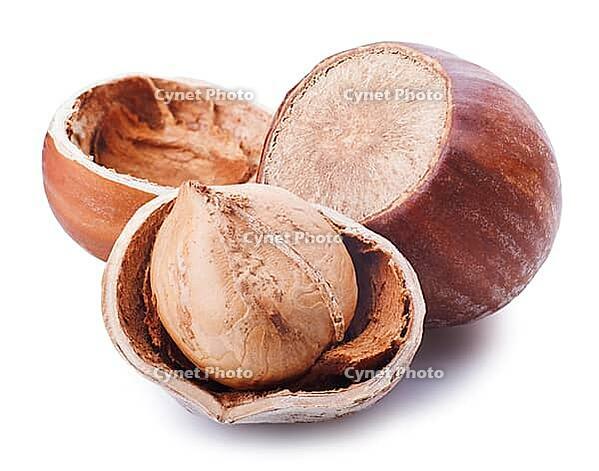 Nuts filberts on white background [IBR124991145]