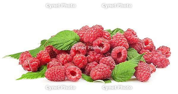 Fresh raspberry with green leaf on white background [IBR124991148]