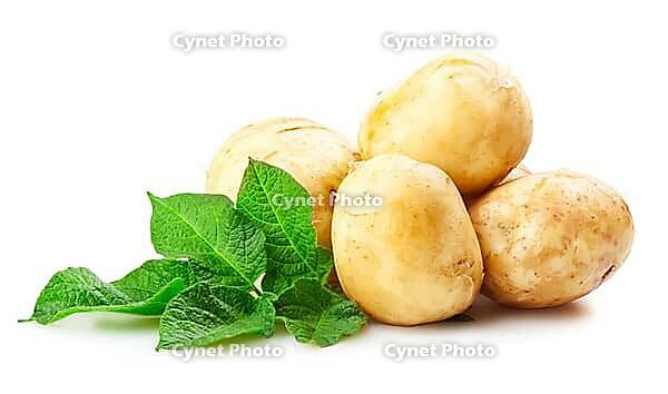 Heap of ripe potatoes vegetable with green leafs isolated on white background [IBR124991154]