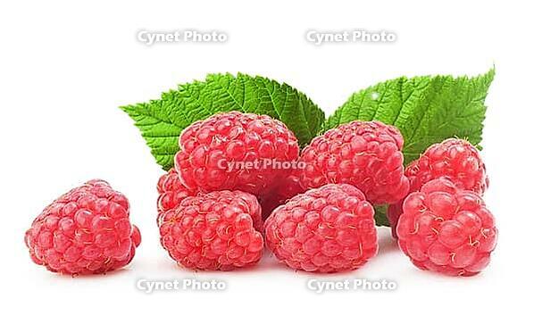 Fresh raspberry with green leaf on white background [IBR124991155]