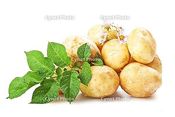 Heap of ripe potatoes vegetable with green leafs isolated on white background [IBR124991162]