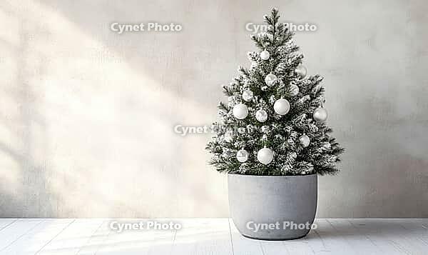 Small Christmas tree with only white and silver ornaments, sitting in a grey concrete planter on a white wooden floor. AI generated [IBR125000275]