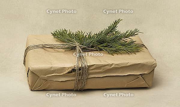 Rustic gift wrapped in brown kraft paper with twine and a sprig of green fir, set against a soft beige background. AI generated [IBR125000286]