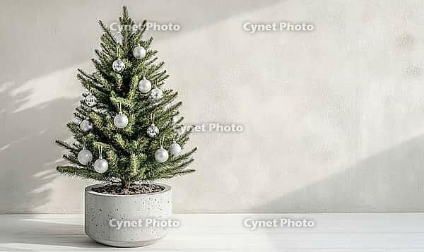 Small Christmas tree with only white and silver ornaments, sitting in a grey concrete planter on a white wooden floor. AI generated [IBR125000291]