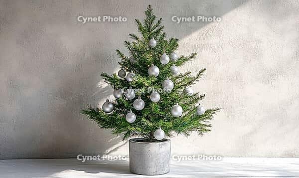 Small Christmas tree with only white and silver ornaments, sitting in a grey concrete planter on a white wooden floor. AI generated [IBR125000292]