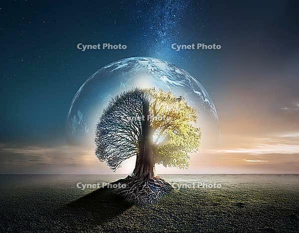 Life Concept. Existence survival being consciousness. Growth of new life, AI generated [IBR125000336]
